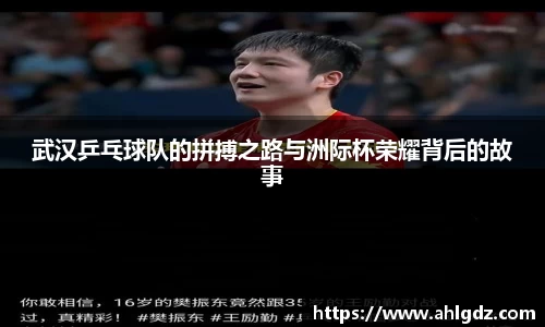 武汉乒乓球队的拼搏之路与洲际杯荣耀背后的故事