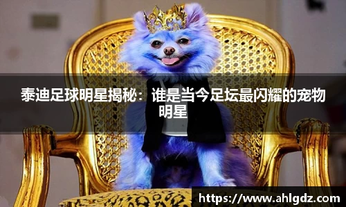 泰迪足球明星揭秘：谁是当今足坛最闪耀的宠物明星